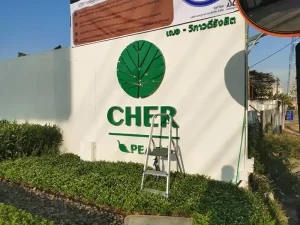 Cher 800X600Px 03
